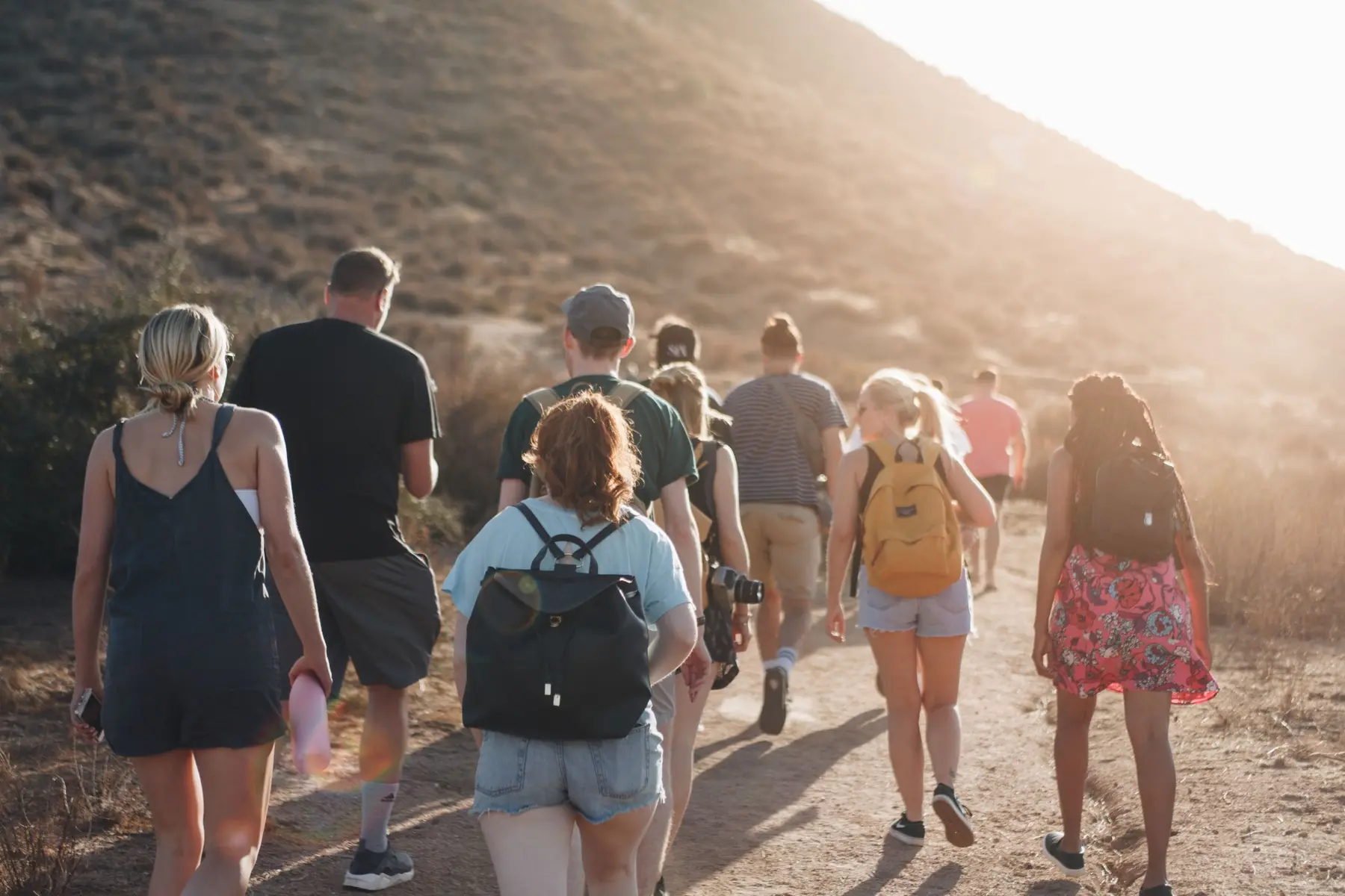 A group walking together along a sunlit path